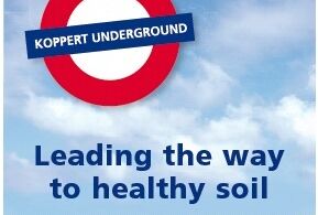 Trianum e Prorhyzo: inizia l'anno con la radice giusta!