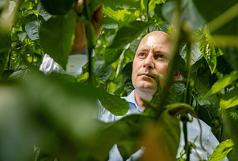 Un ampio spettro di soluzioni di acari predatori grazie a continue ricerche e innovazioni