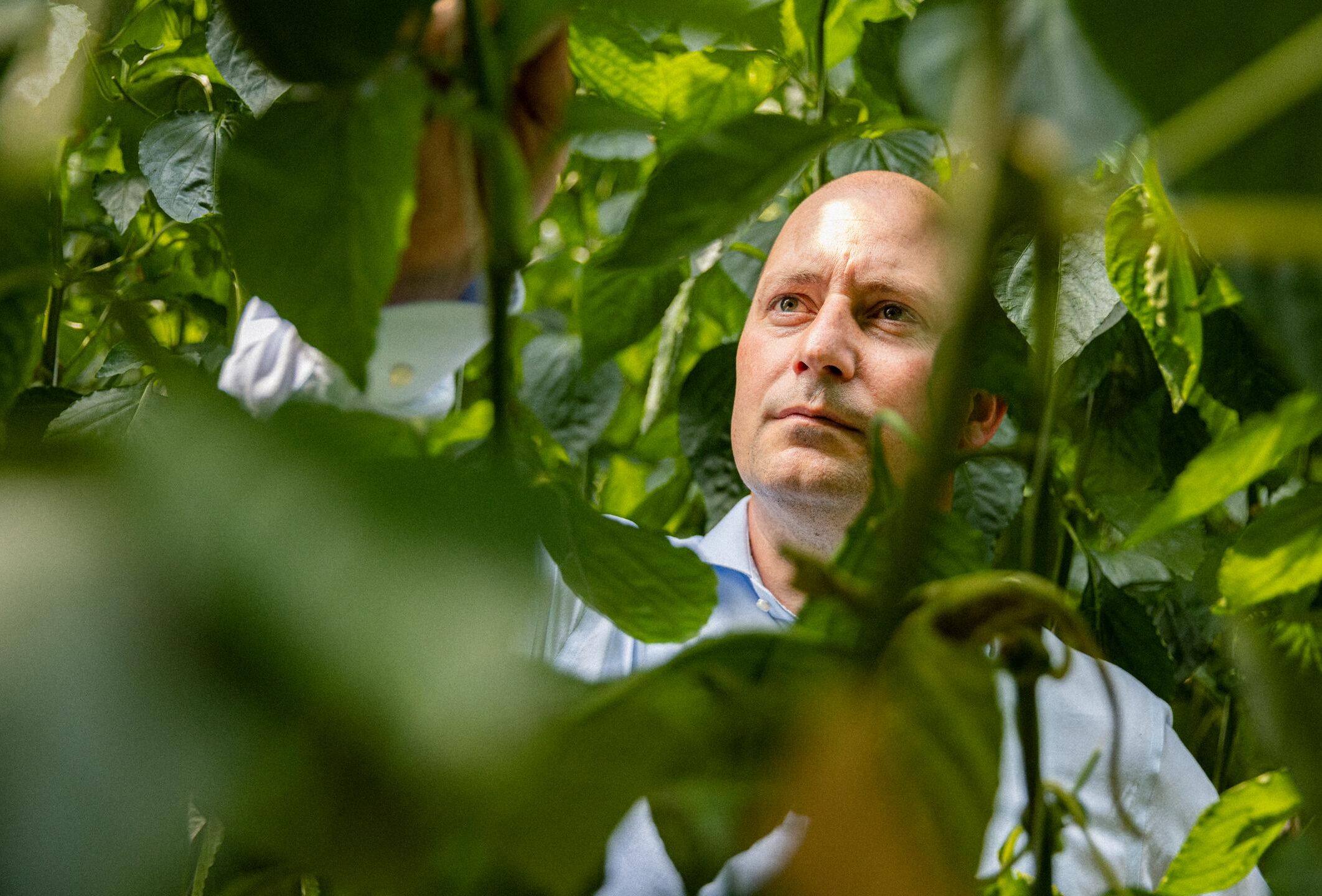 Un ampio spettro di soluzioni di acari predatori grazie a continue ricerche e innovazioni