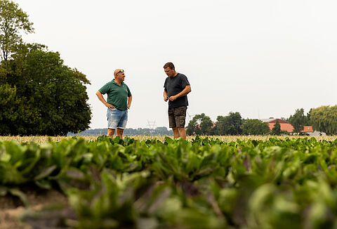 Verso un futuro senza sostanze chimiche in agricoltura: la visione del produttore Koen