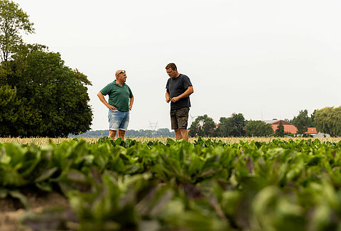Verso un futuro senza sostanze chimiche in agricoltura: la visione del produttore Koen