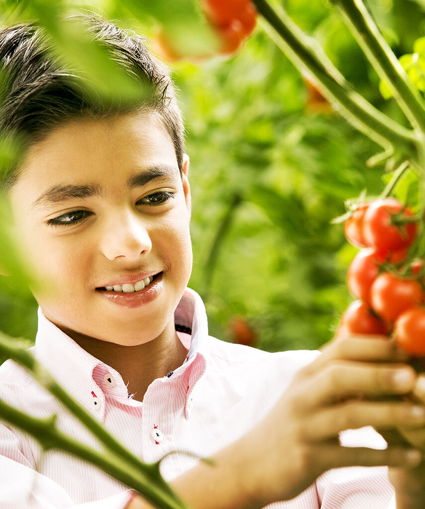 Istruzioni per l'uso