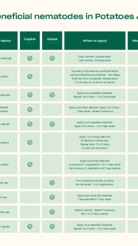Target pests of beneficial nematodes in Potato & Outdoor Vegetables