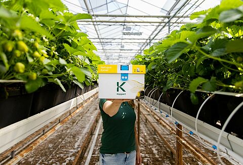 Le migliori pratiche