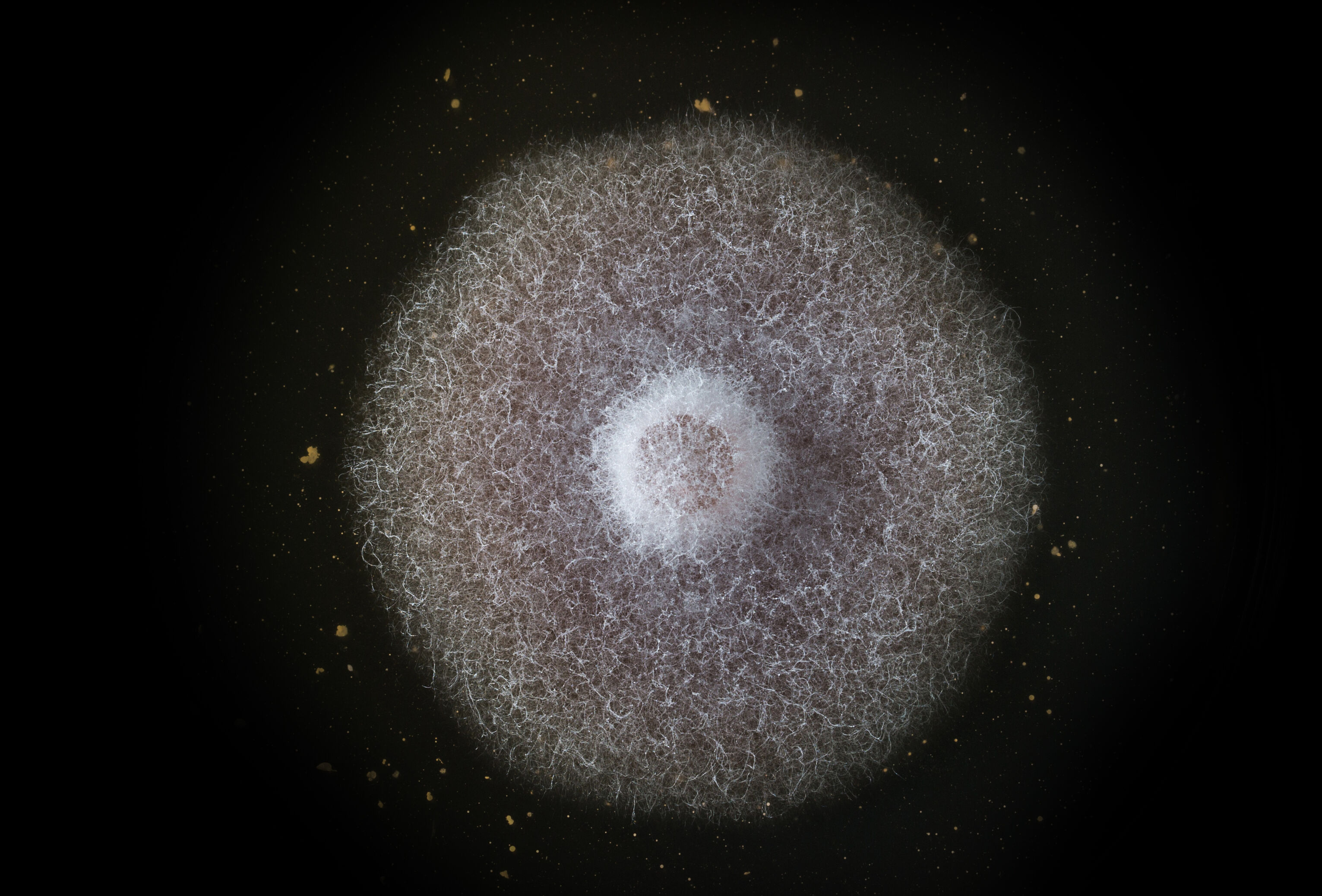 Mareggiata, Le Fotografie Dei Danni Alla Piscina Della Sportiva Sturla - Foto 7