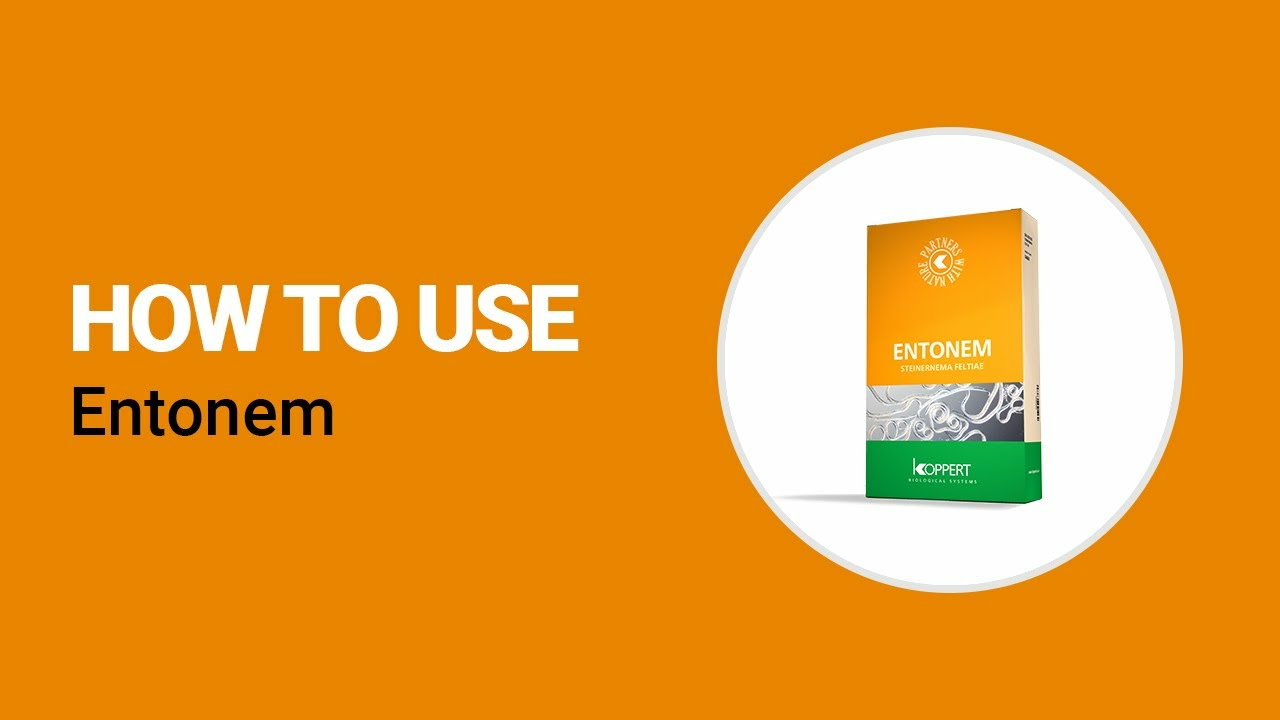 How to use Entonem from Koppert