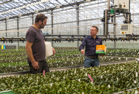 Entonem mantiene le giovani orchidee libere dai moscerini del fungo