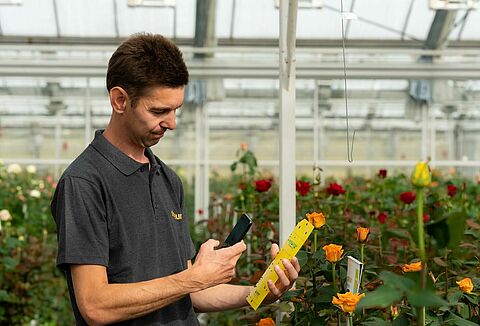 Minore utilizzo di pesticidi chimici grazie al Monitoraggio Natutec