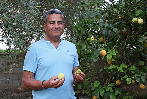 Il viaggio nell'agrumicoltura sostenibile