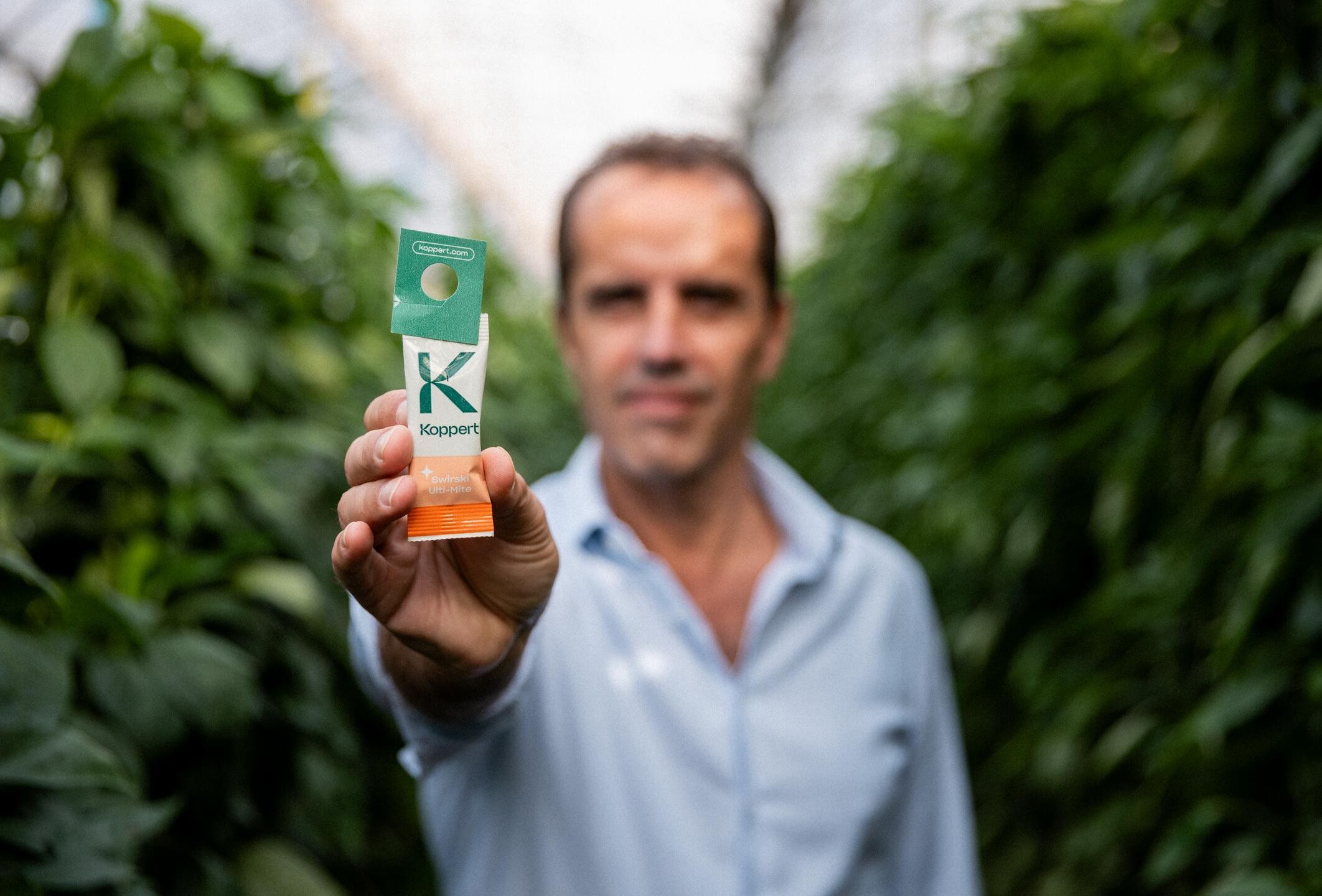 Una svolta ad Almeria: come gli acari predatori hanno contribuito a trasformare l'agricoltura