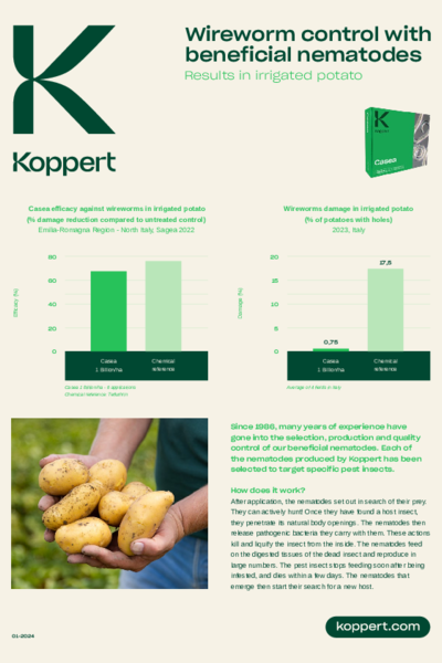 Controllo dei tarli nelle patate