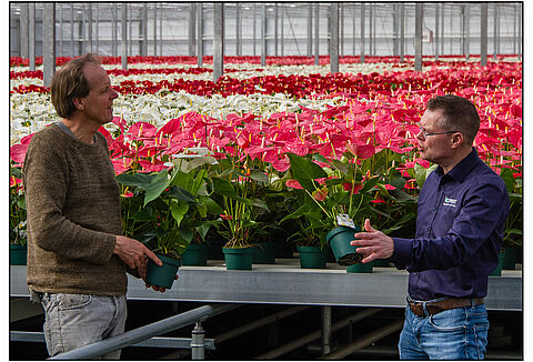 Amazone Plants continua la strada della coltivazione biologica
