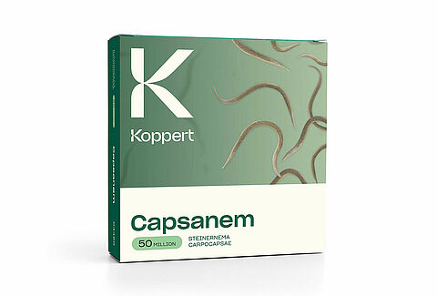 Koppert iniza una nuova era per i nematodi