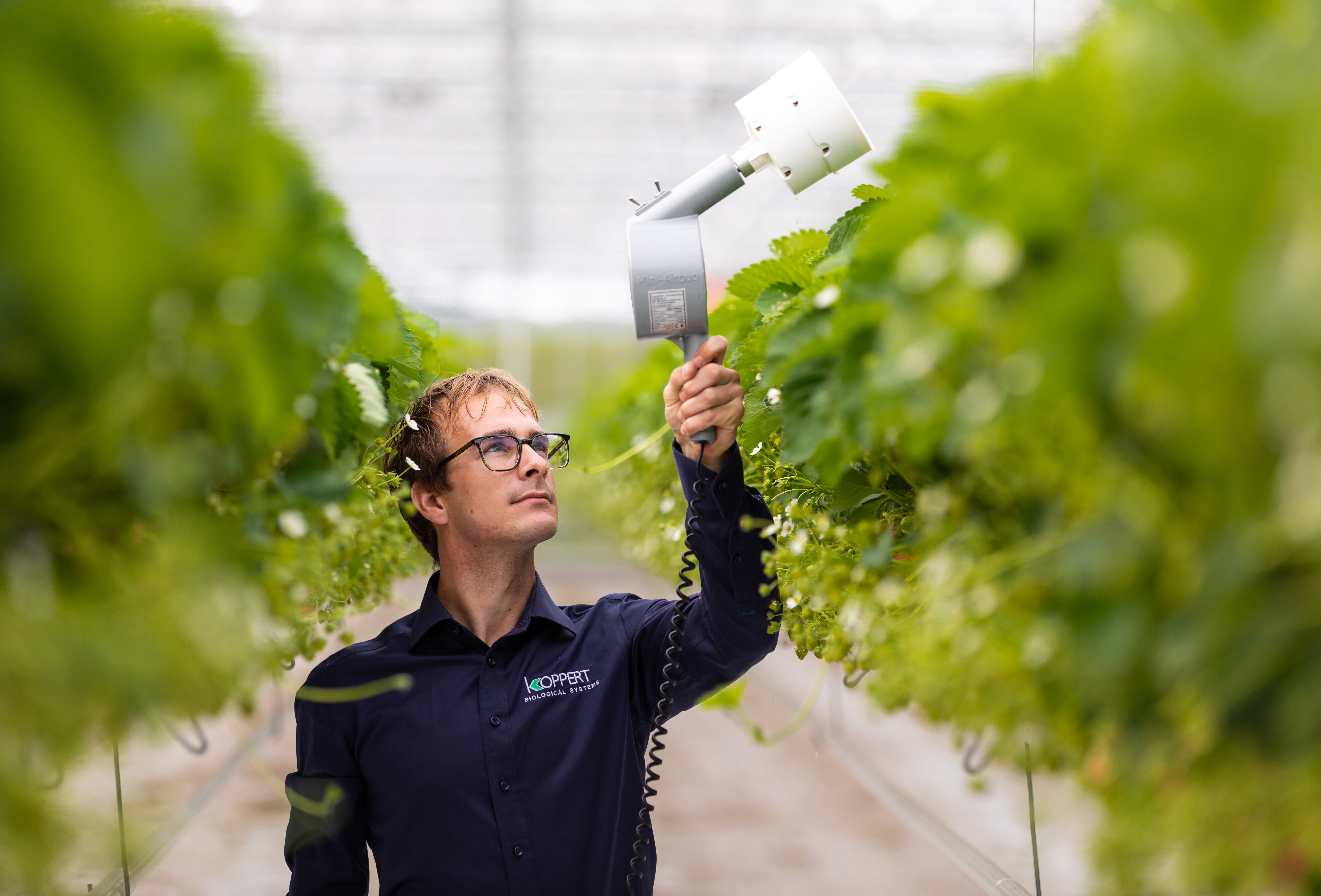 Biocontrollo, così la strategia è più efficace