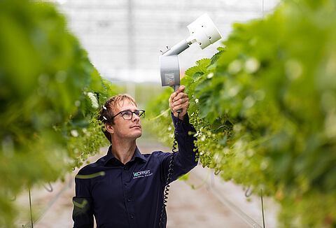 Biocontrollo, così la strategia è più efficace
