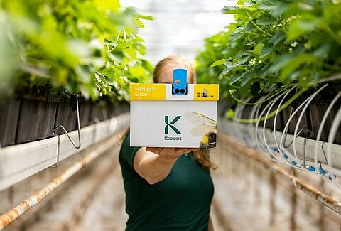 I candidati per il fruit logistica innovation award 2017