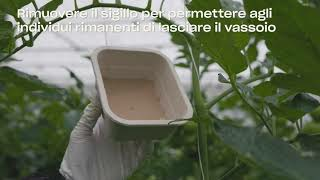 Istruzioni per l'uso Mirical