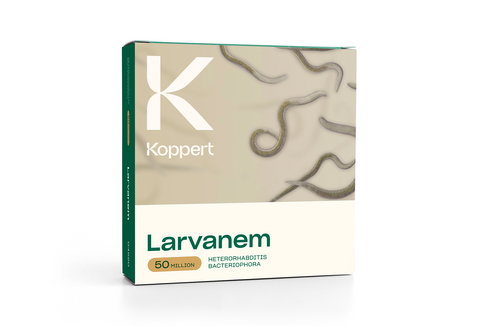Larvanem