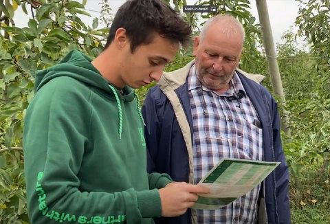 Uso di Capirel nei frutteti sani