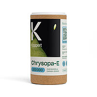 Video preview thumbnail