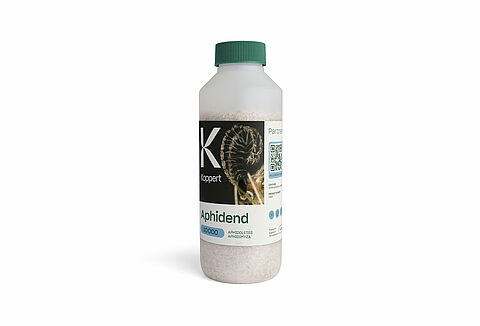 Aphidend