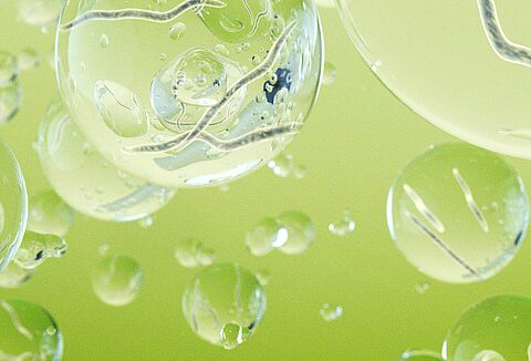 Nematodi benefici per il controllo delle colture all'aperto