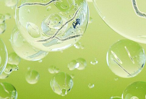 Nematodi benefici per il controllo delle colture all'aperto