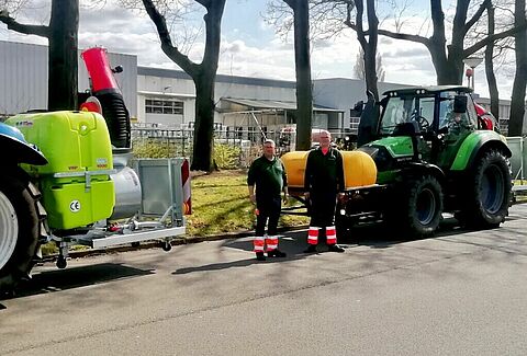 Comune di Enschede: Nematodi di Entonem contro il bruco della processionaria della quercia