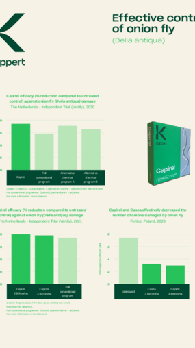 Controllo efficace della mosca dei semi di cipolla e di fagiolo Controllo efficace della mosca dei semi di cipolla e di fagiolo