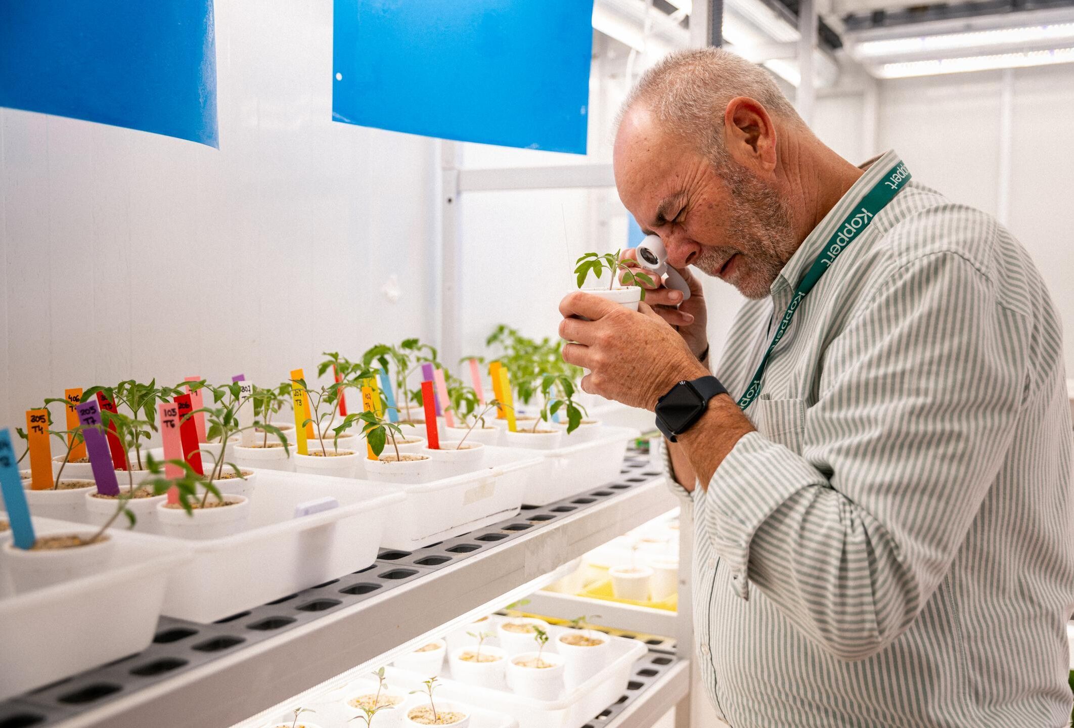 Trasformare la protezione delle colture con gli acari predatori