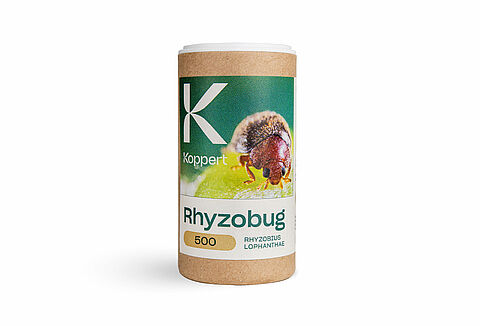 Rhyzobug