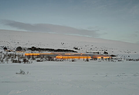 Consigli per l'impollinazione delle colture illuminate artificialmente