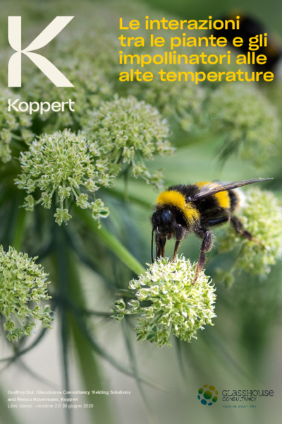 Informazioni essenziali sull'impollinazione alle alte temperature