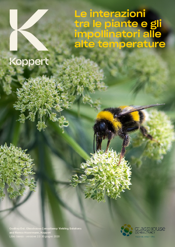 Informazioni essenziali sull'impollinazione alle alte temperature