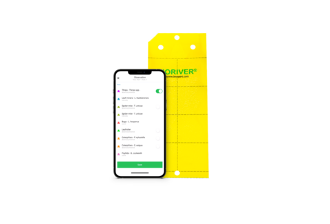 Scouting delle colture