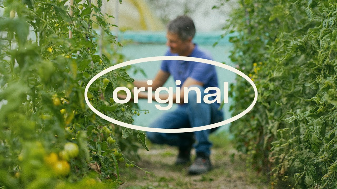 Tom Groot racconta la sua Storia: Koppert The Original