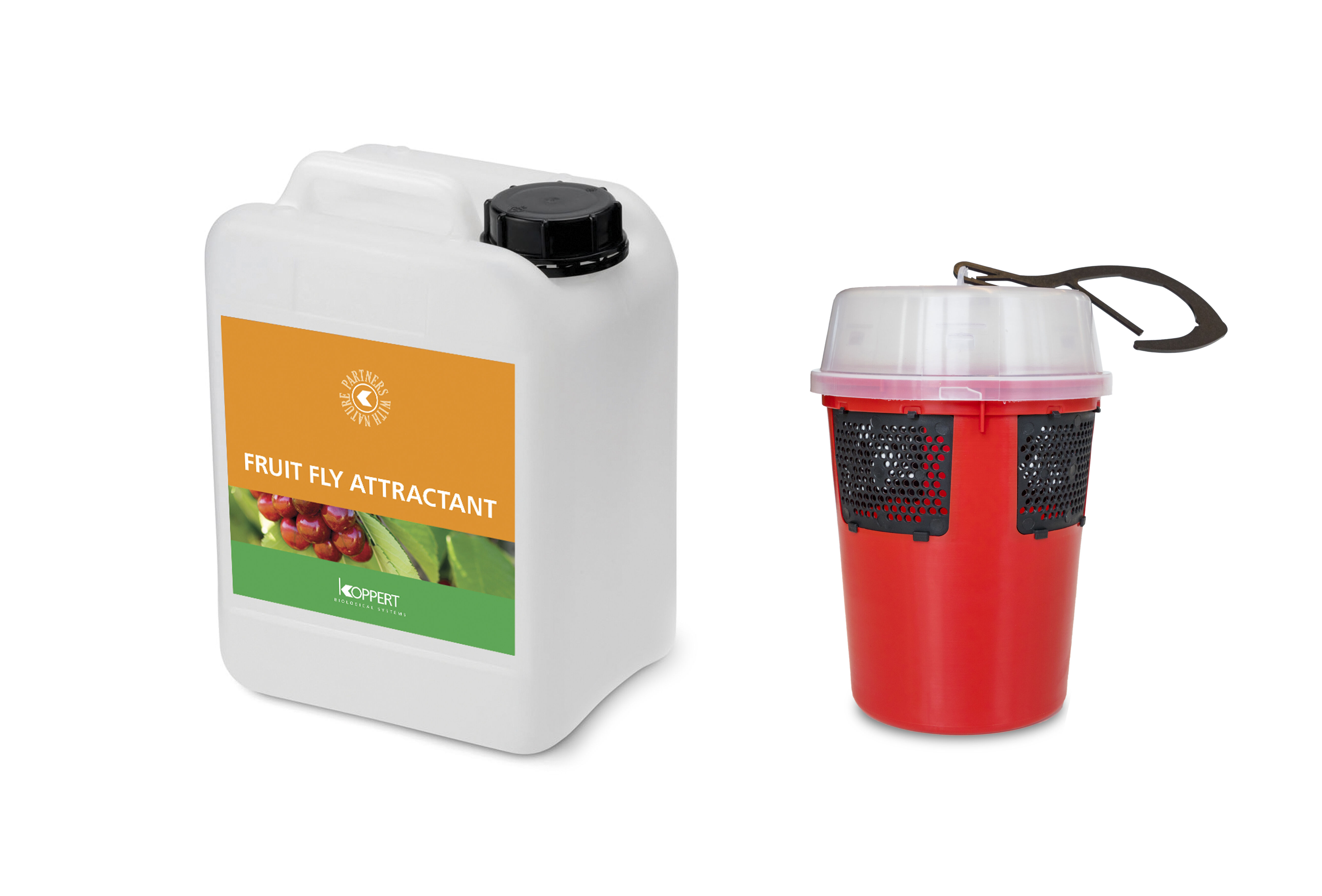 Fruit fly attractant: la migliore sostanza attrattiva per combattere drosophila suzukii