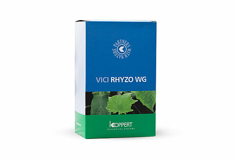 Vici Rhyzoteam WG