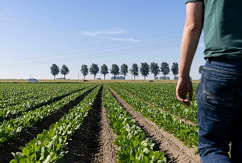 Coltivatore Koen - Abbracciare la protezione biologica delle colture in agricoltura