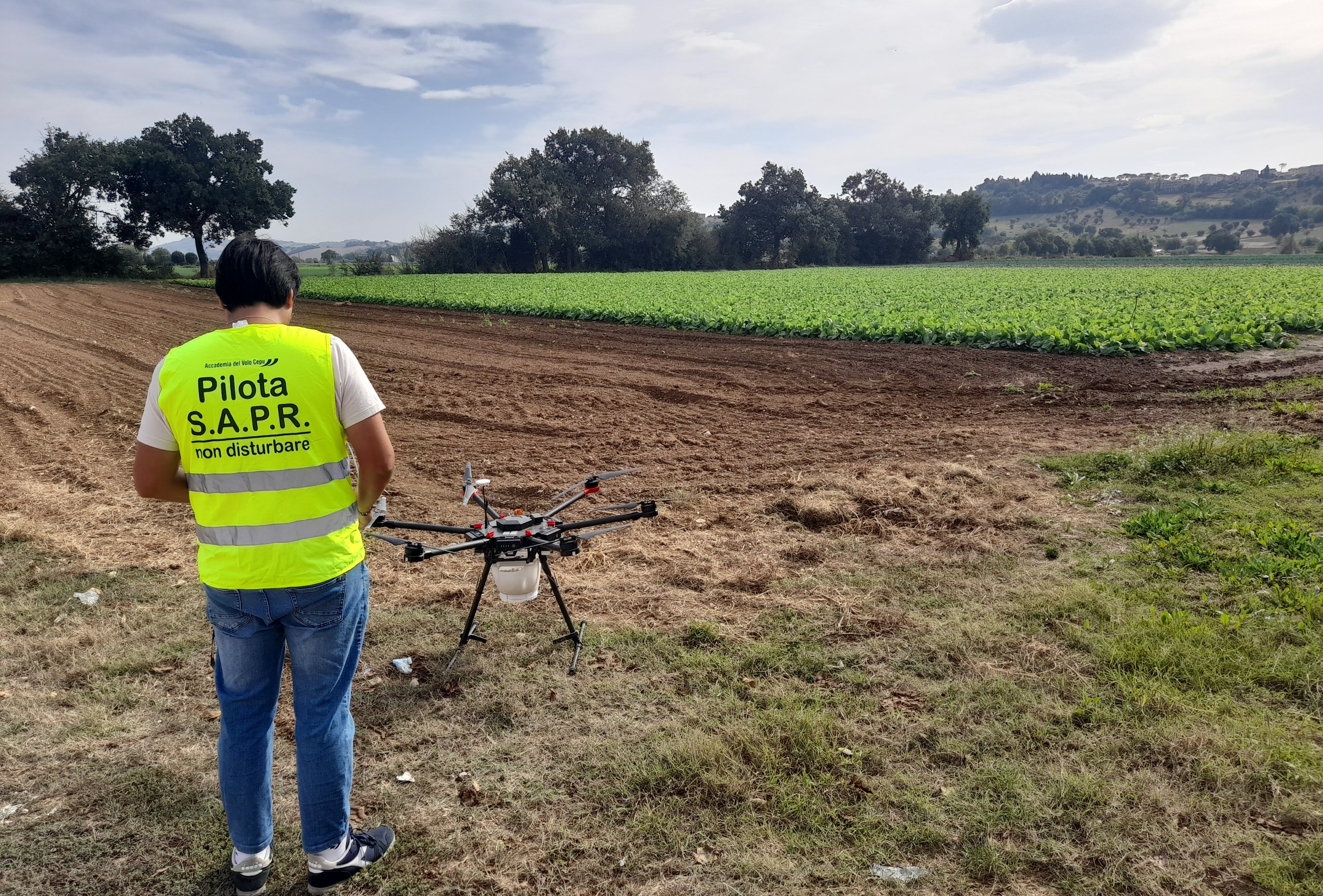 Biocontrollo in campo: una giornata per esplorare le soluzioni più efficaci su brassicacee