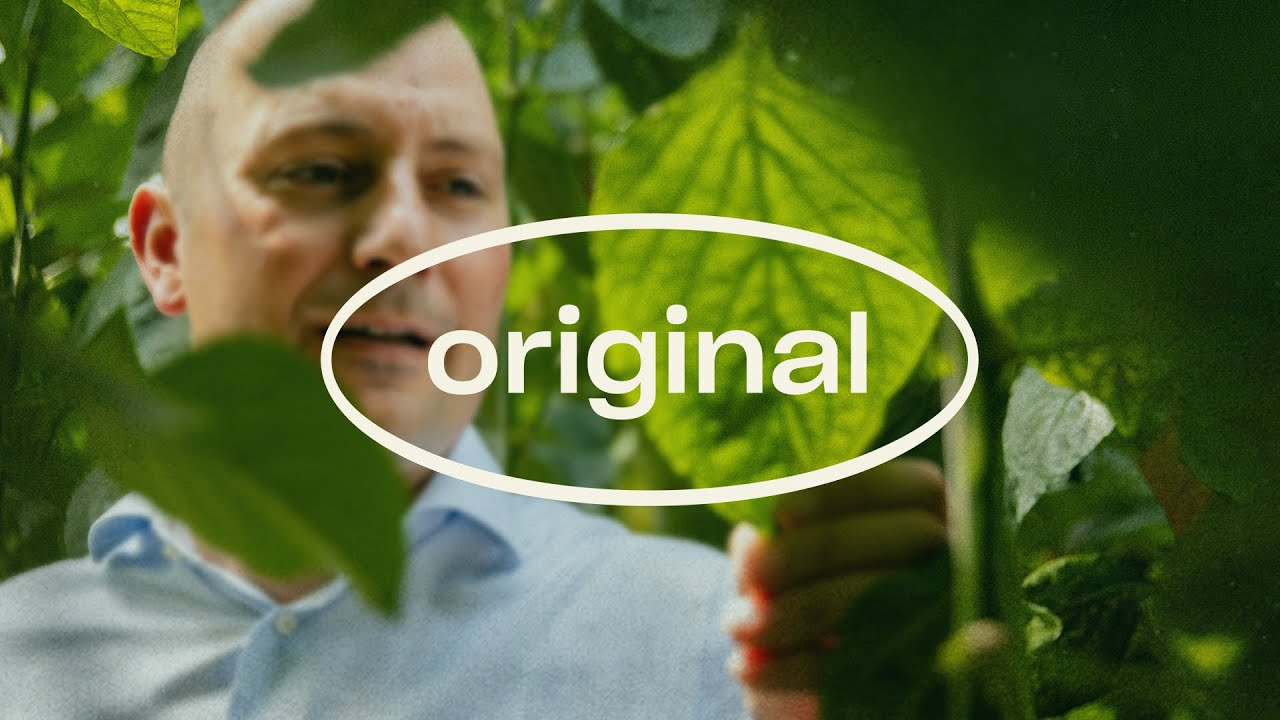 Original stories- René Koppert