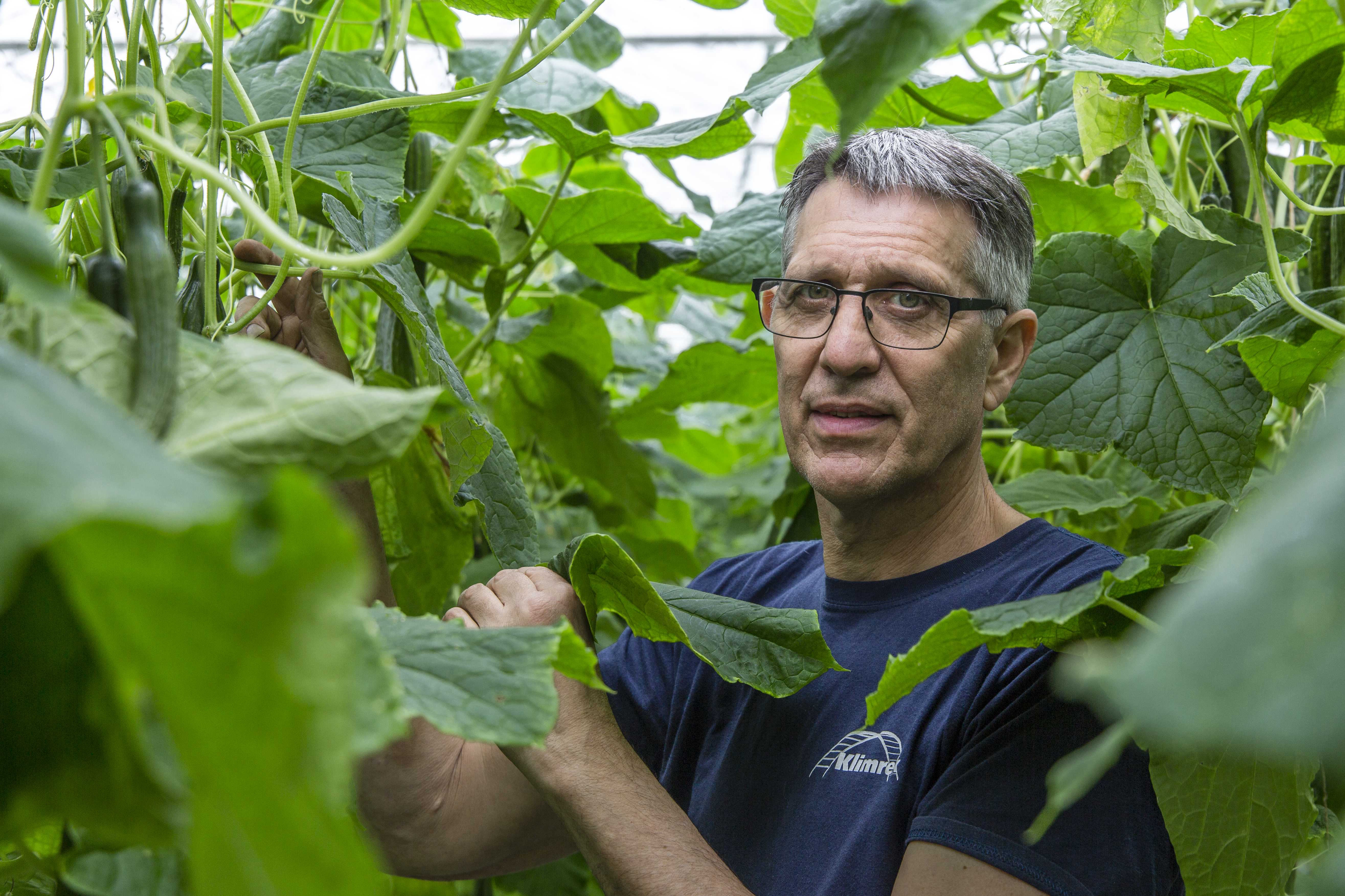 Spidex Vital mantiene le sue promesse