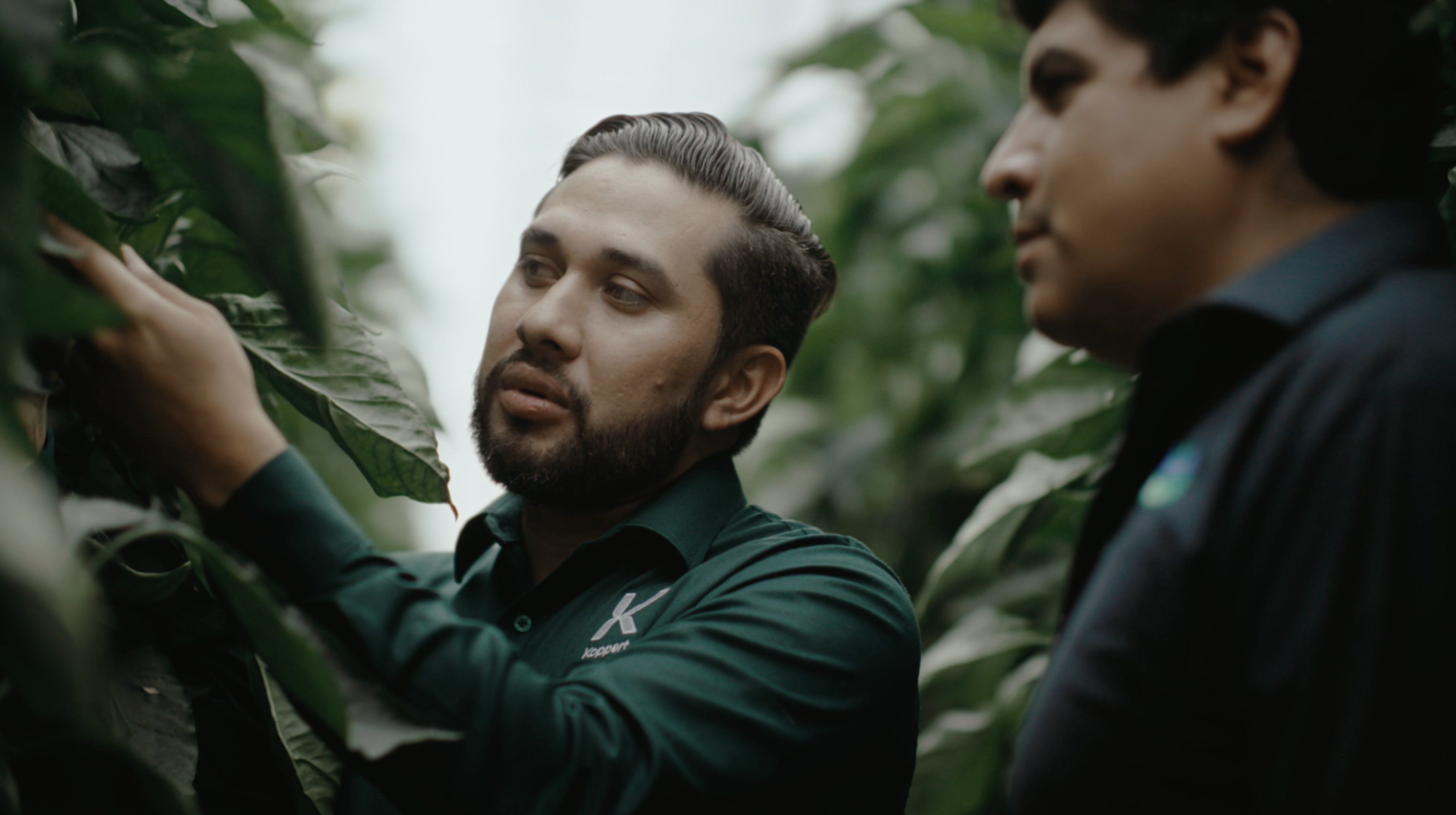 La Hacienda Fresh aumenta la redditività delle colture grazie al controllo biologico