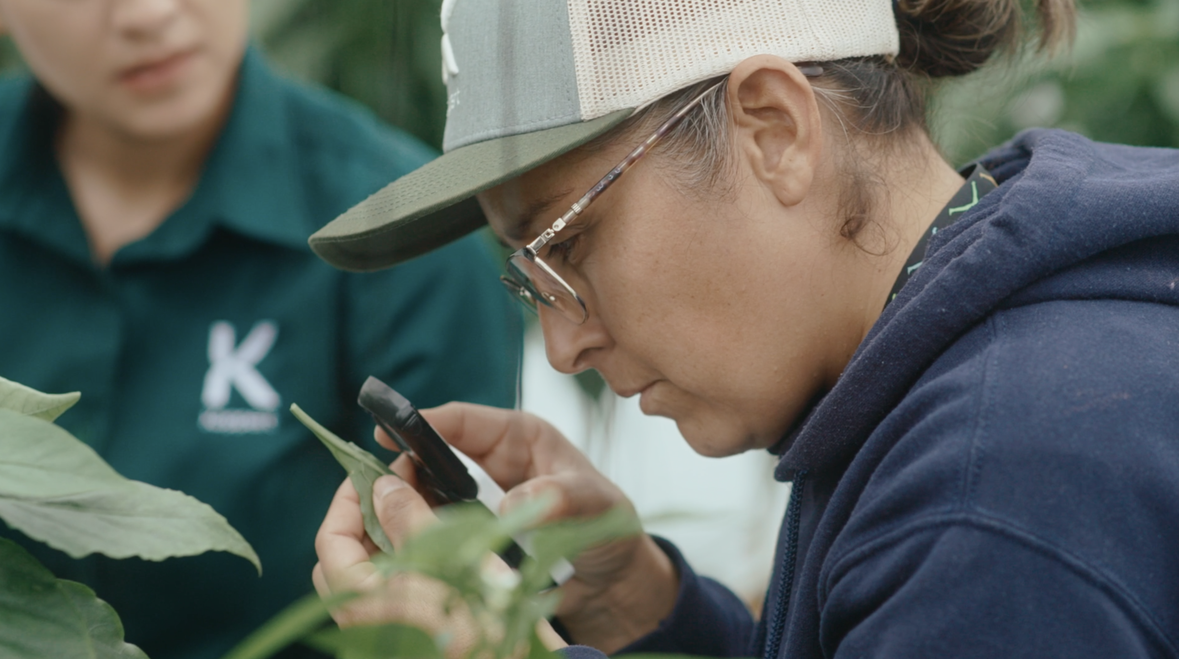 HyFood porta l'habanero ad un altro livello con il controllo biologico