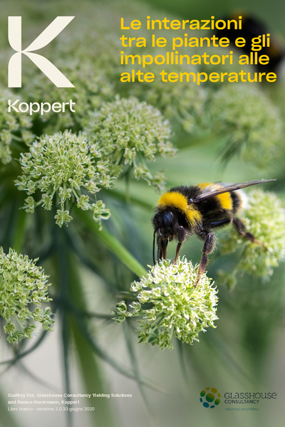 Informazioni essenziali sull'impollinazione alle alte temperature